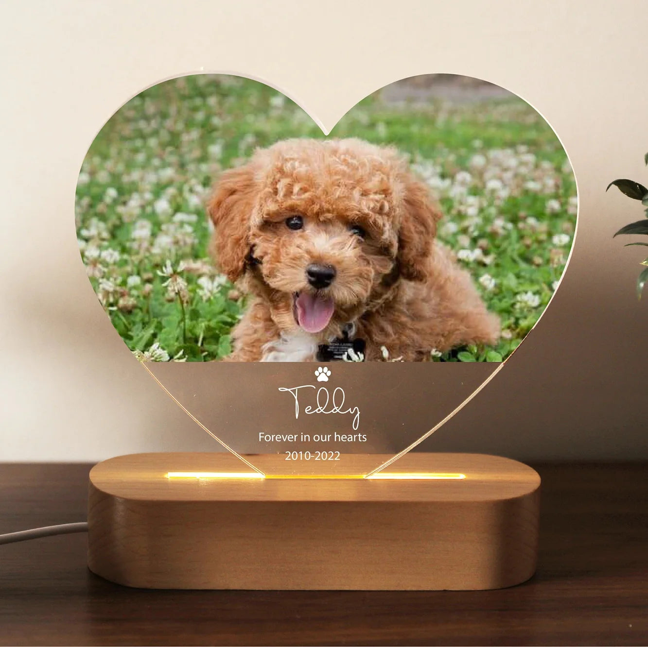Heart Memorial LED Luminary