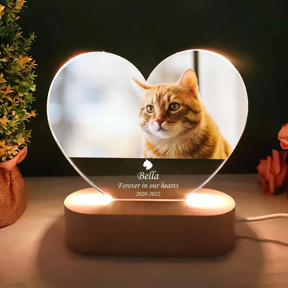 Acrylic Pet Portrait LED Sign
