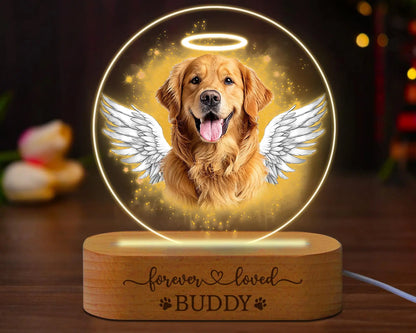 Pet Portrait Night Light