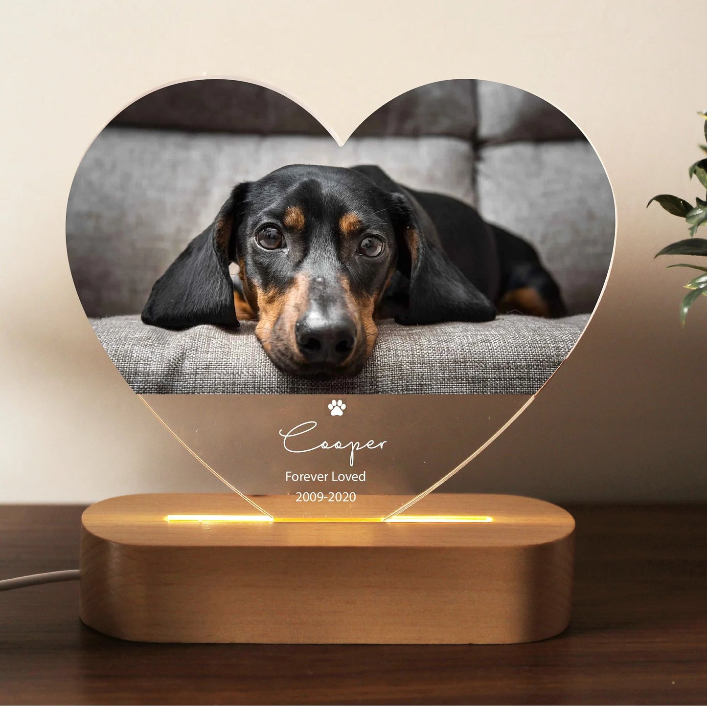 Heart Memorial LED Luminary