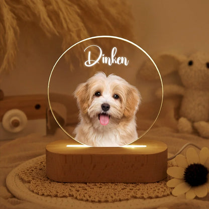 Acrylic Pet Portrait LED Sign