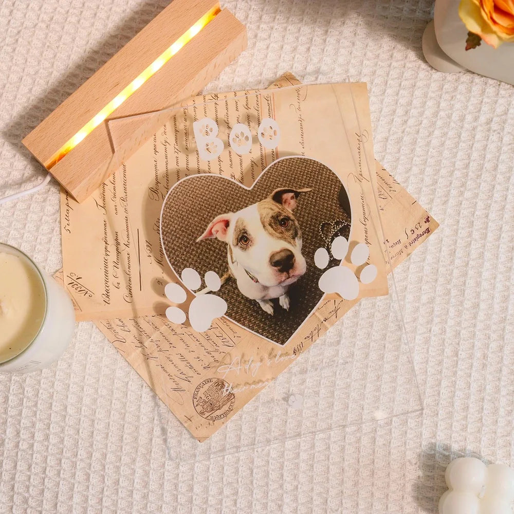 Custom commemorative acrylic LED pet plaque