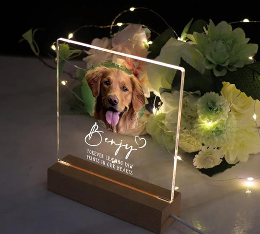 Acrylic Pet Portrait LED Sign