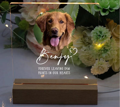 Acrylic Pet Portrait LED Sign