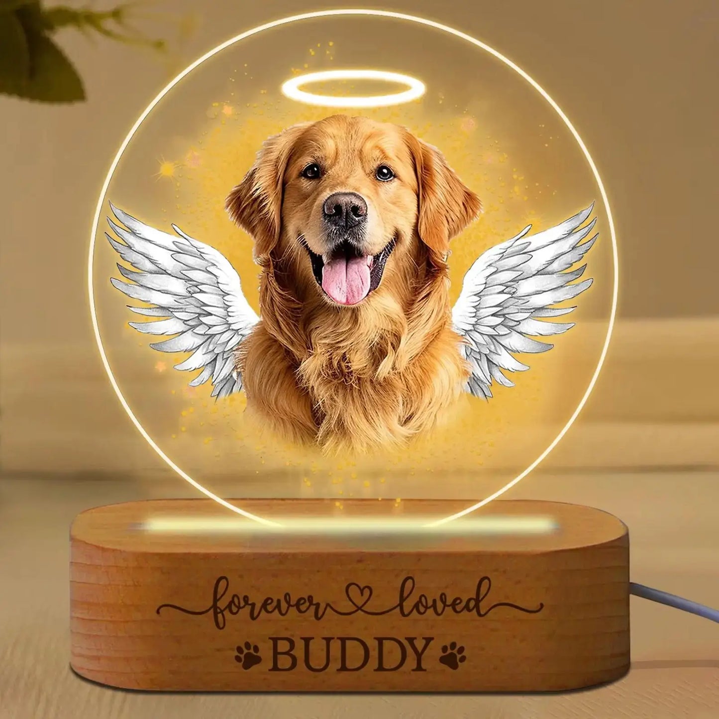Pet Portrait Night Light