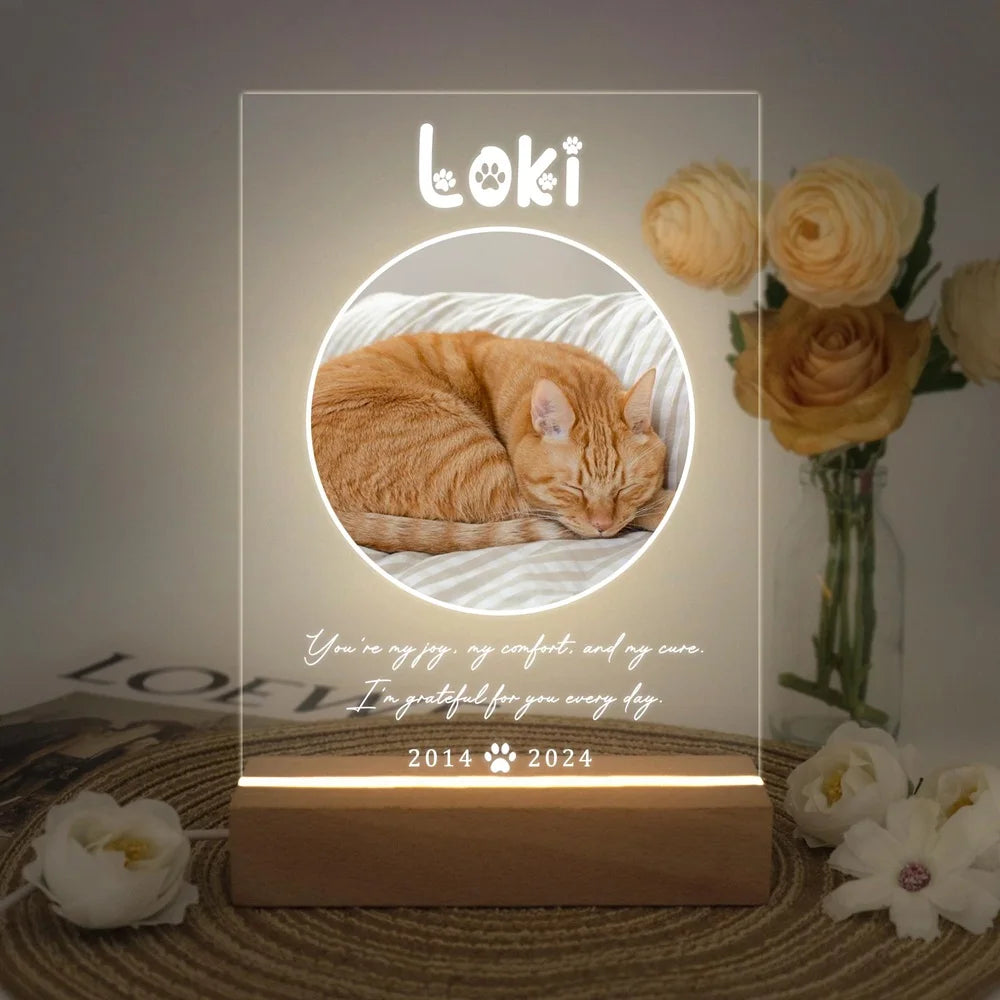 Custom LED Memorial Plaque