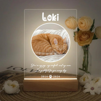 Custom LED Memorial Plaque