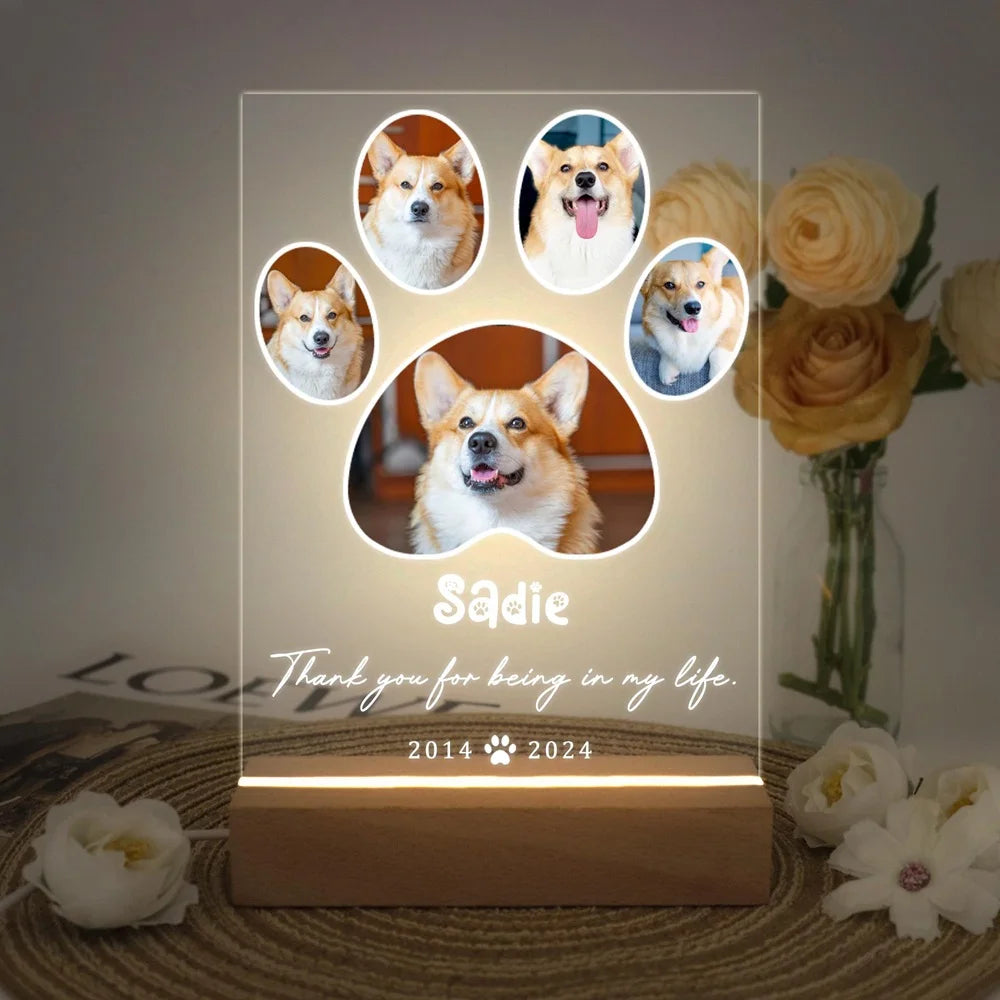Custom LED Memorial Plaque