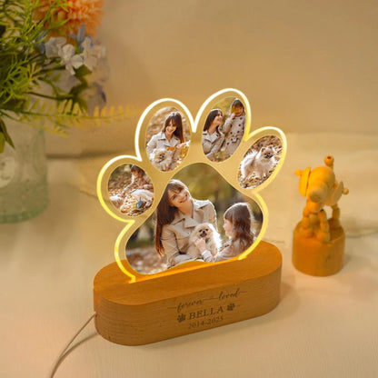 Custom Pet Photo Night Light