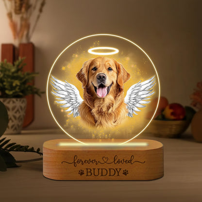 Personalized pet portrait LED night light
