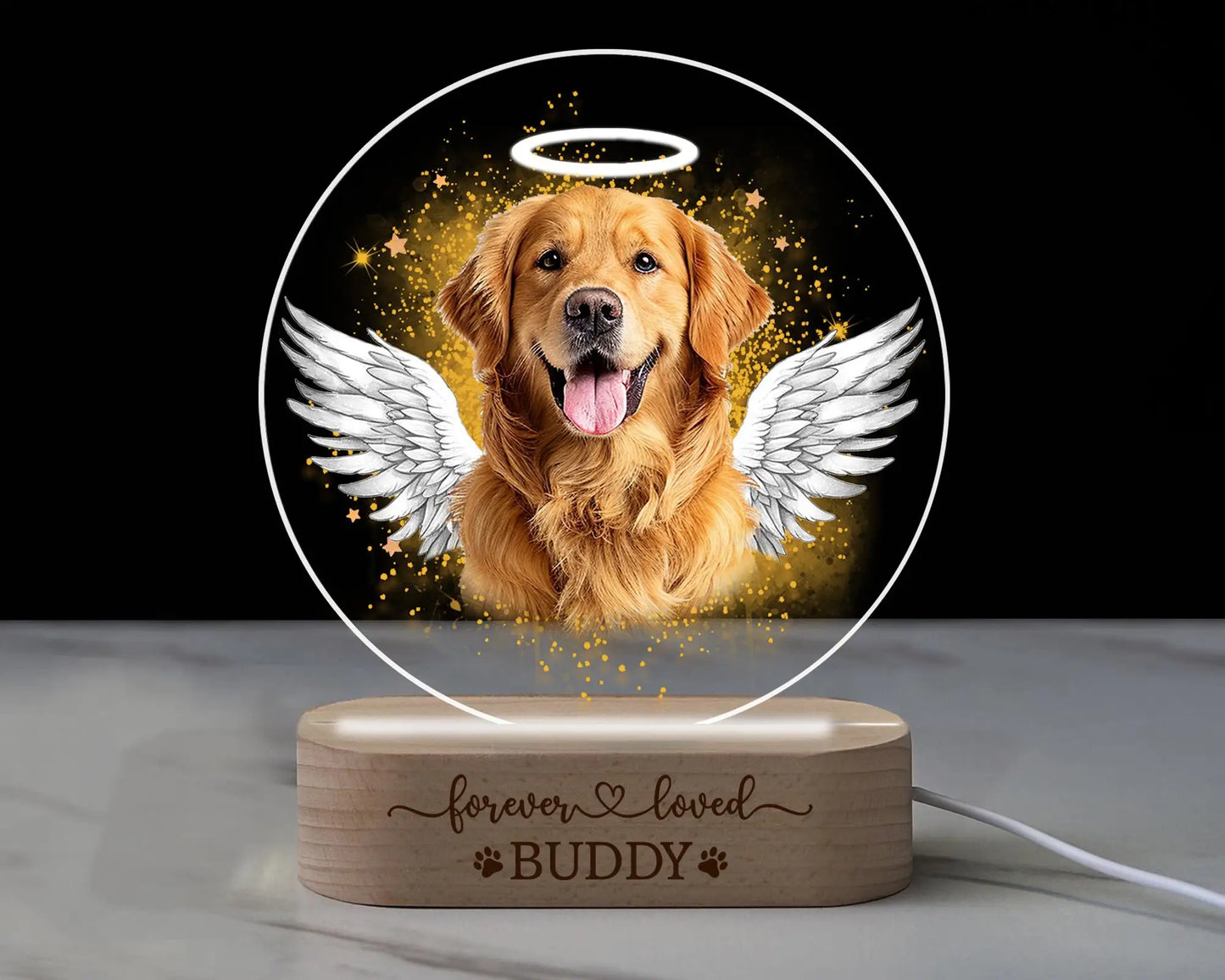 Pet Portrait Night Light