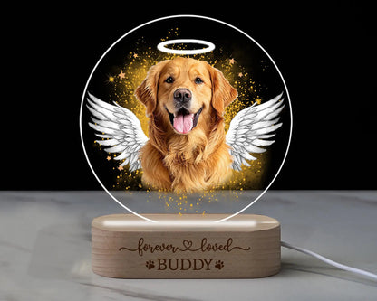 Pet Portrait Night Light