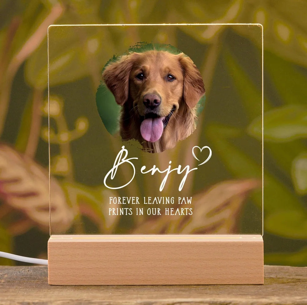 Acrylic Pet Portrait LED Sign